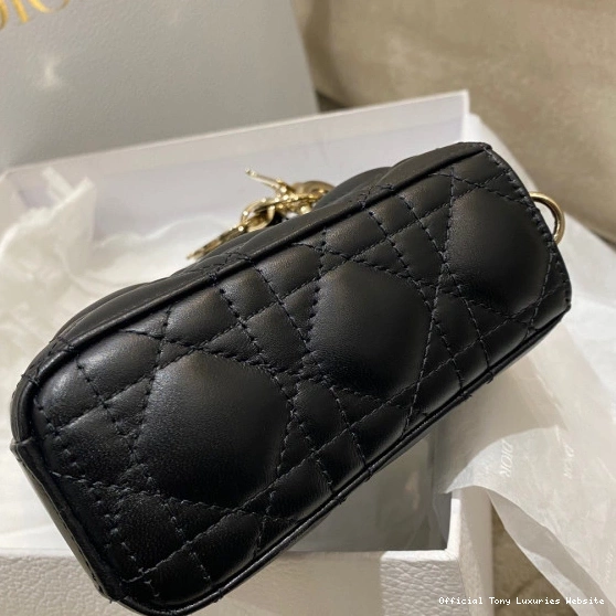 Tony Luxuries D-JOY BAG-26*13.5*5CM LADY diro 0816